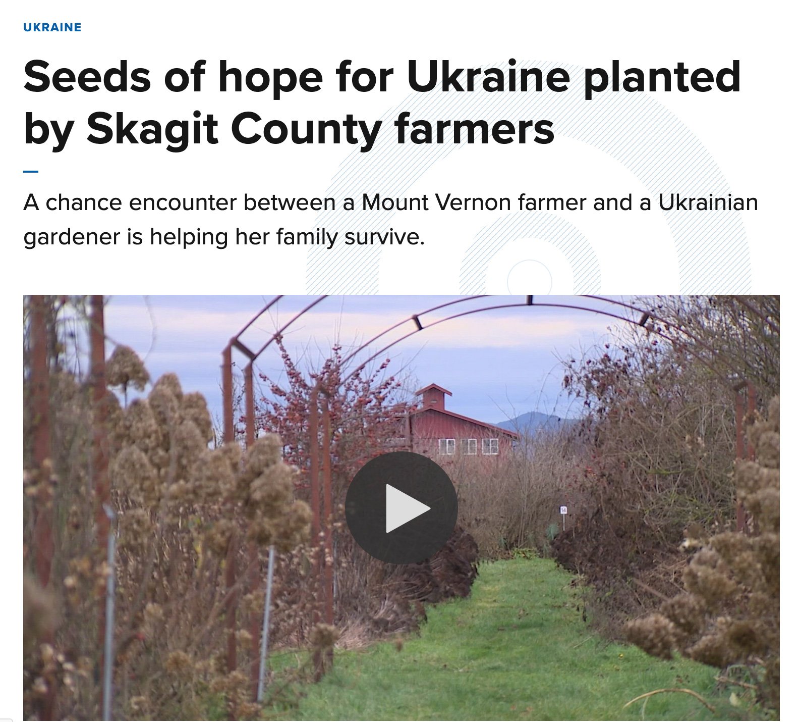 King-5-Ukraine-Alla-Olkhovska-article King-5-Ukraine-Alla-Olkhovska-article
