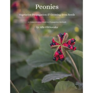 Peony Propagation Guide